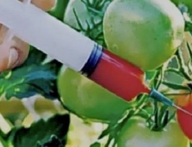 Με αυτούς τους τρεις τρόπους θα διακρίνετε εύκολα αν τα τρόφιμα που τρώτε είναι μεταλλαγμένα ή οργανικά